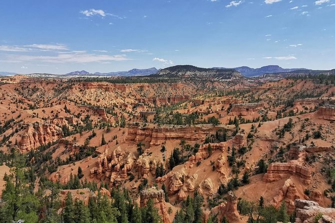 Horseback Riding Experience through Red Canyon with a Guide - Getting acquainted with your horse