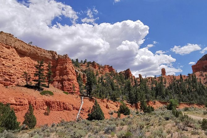 Horseback Riding Experience through Red Canyon with a Guide - Stories of Butch Cassidy and the Old West