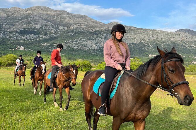 Horseback Riding Experience with transport from Dubrovnik - Key points at a glance