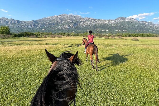 Horseback Riding Experience with transport from Dubrovnik - Leaving Dubrovnik for Konavle