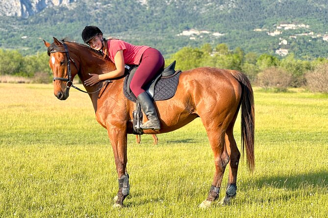 Horseback Riding Experience with transport from Dubrovnik - One hour through fields and forest