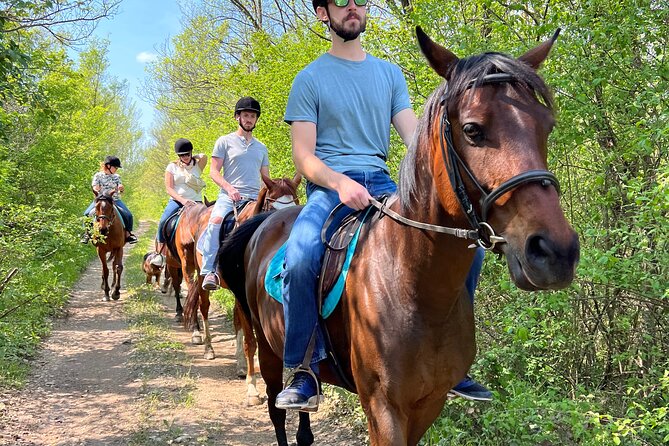 Horseback Riding Experience with transport from Dubrovnik - What the $118.94 price includes in value