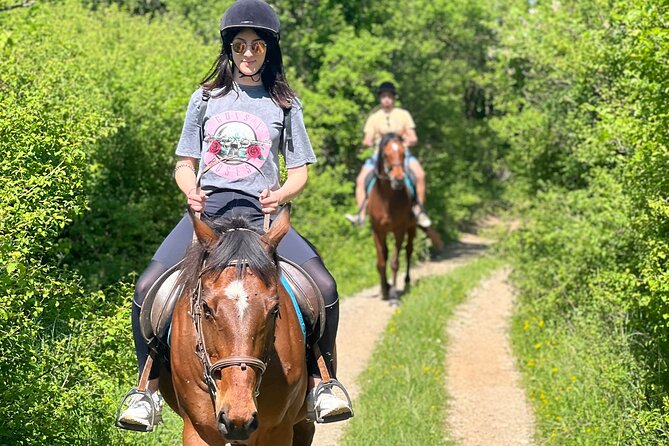 Horseback Riding Experience with transport from Dubrovnik - Timing, group size, and booking details