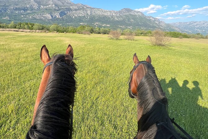 Horseback Riding Experience with transport from Dubrovnik - My take on the overall experience
