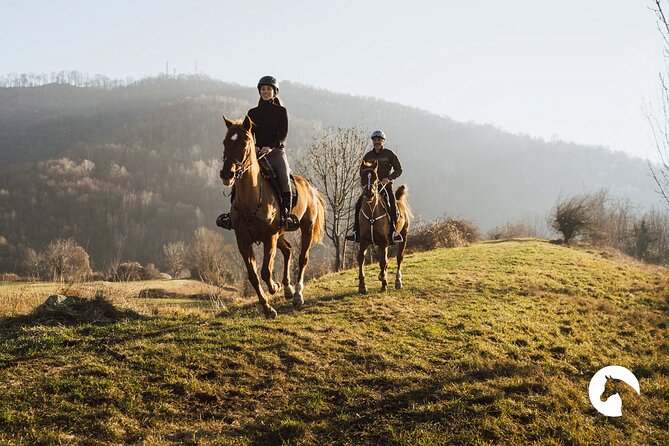 Horseback riding for experts between the lake and the mountains - Key details before you book