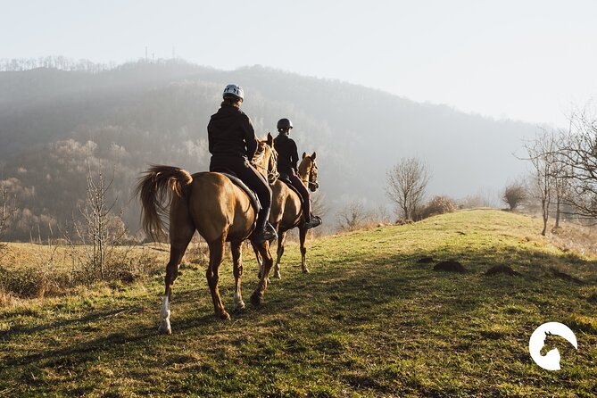 Horseback riding for experts between the lake and the mountains - The first two hours on mountain and forest trails