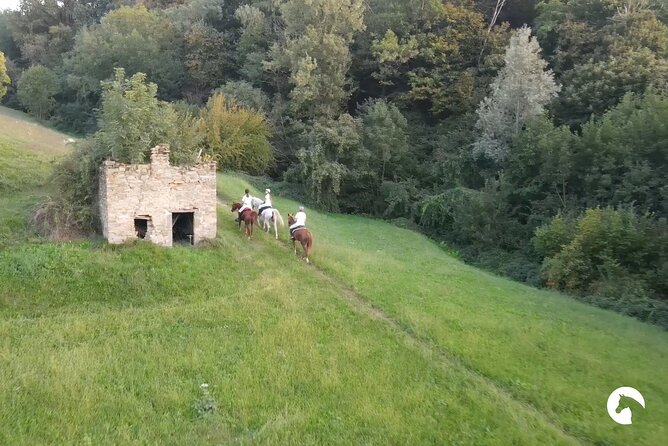 Horseback riding for experts between the lake and the mountains - Who will enjoy this most