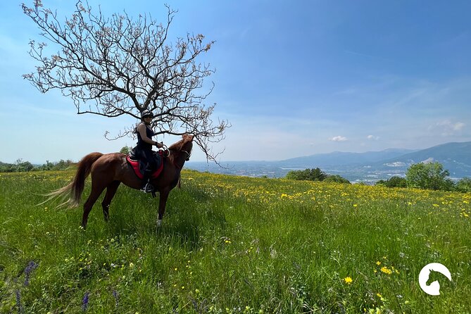 Horseback riding for experts between the lake and the mountains - Equipment, weather, and cancellation details