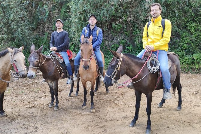 Horseback Riding from Guadalupe to Monserrate Private Day-Tour - Why this route is special