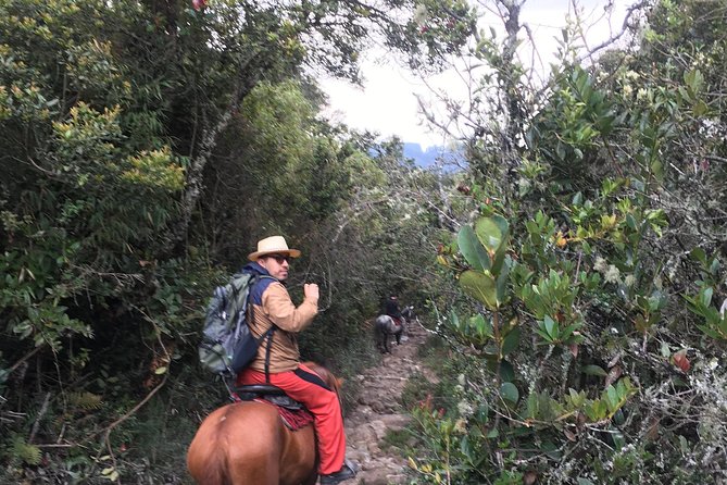 Horseback Riding from Guadalupe to Monserrate Private Day-Tour - Returning by cable car or funicular