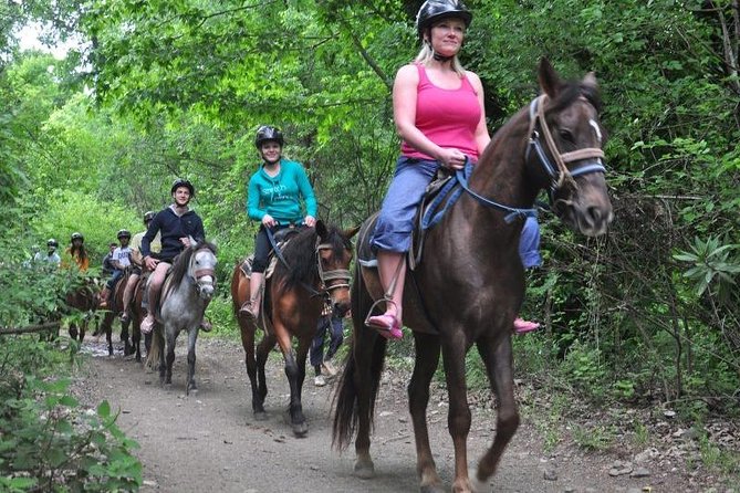 Horseback Riding From Kusadasi Port For Cruise Guests - Who will enjoy this ride most?