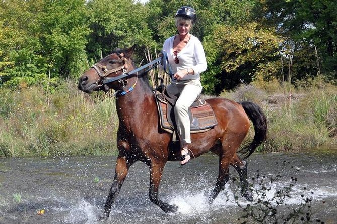 Horseback Riding From Kusadasi Port For Cruise Guests - What the horse safari actually feels like