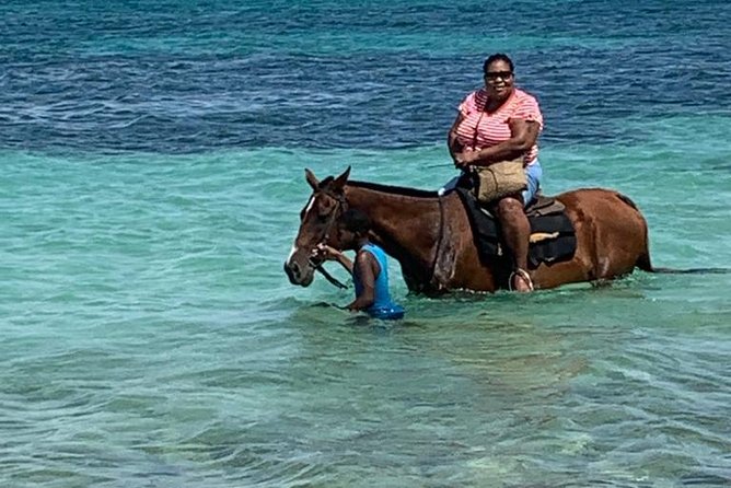 Horseback Riding from Montego Bay - What the Montego Bay horseback ride is really like