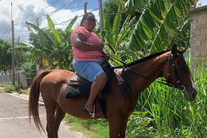 Horseback Riding from Montego Bay - The horseback portion: scenic, social, and possibly gentle