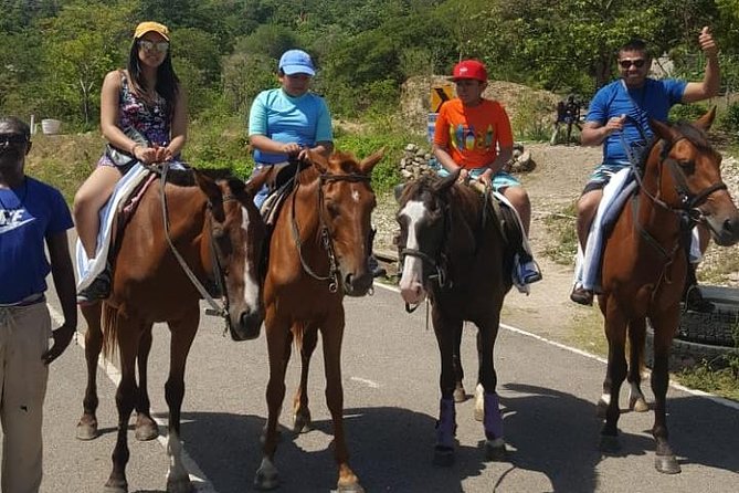 Horseback Riding from Montego Bay - The beach ride and horse swim
