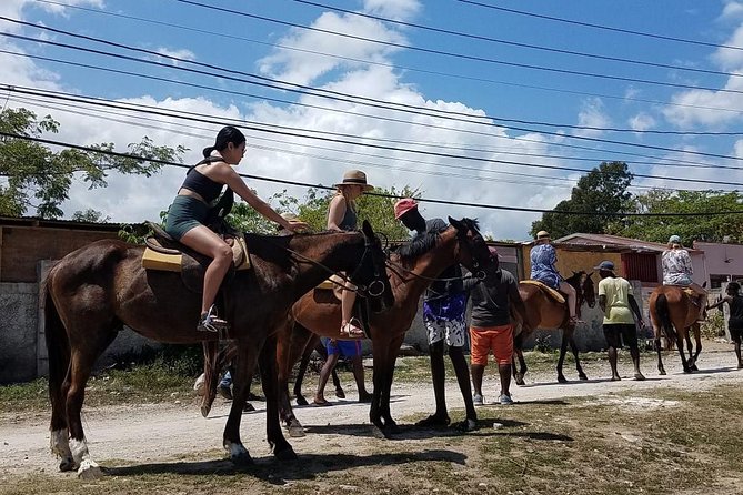 Horseback Riding from Montego Bay - Who should book this experience?