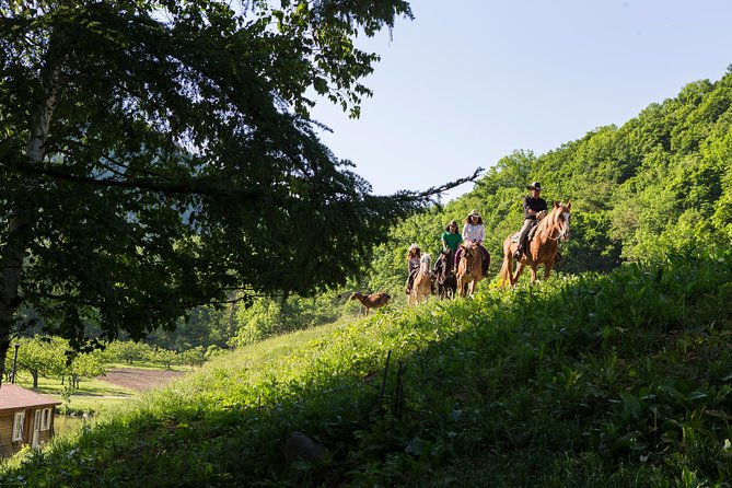 Horseback-Riding in a Country Side in Sapporo - Private Transfer is Included - From Sapporo hotel to Mustang Town