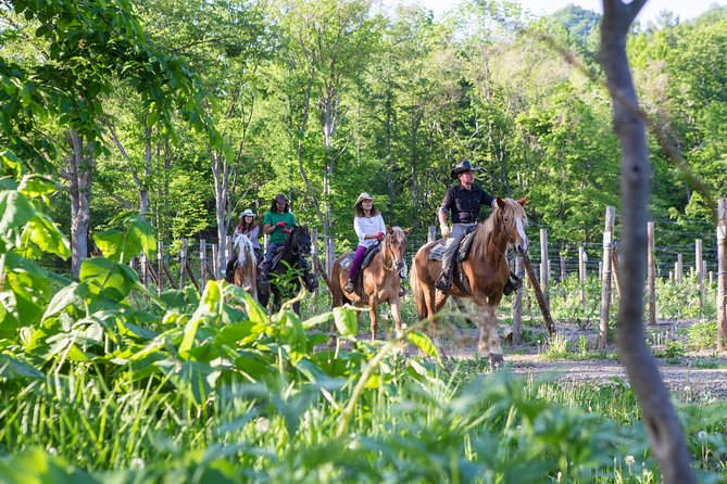 Horseback-Riding in a Country Side in Sapporo - Private Transfer is Included - The Old West welcome at Mustang Town