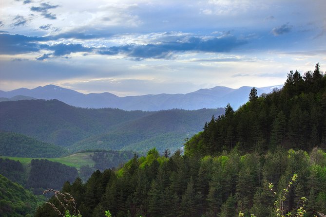Horseback Riding in Armenia - Debed Valley and the wooded trails of Day 3