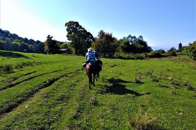 Horseback Riding in Armenia - Who should book this ride?
