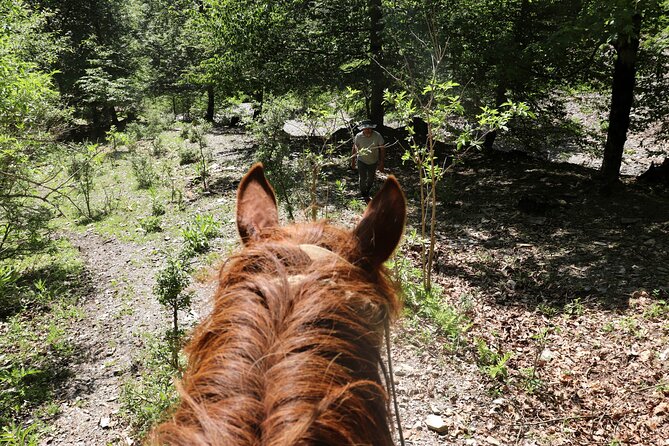 Horseback Riding in Azerbaijan - A Picnic Instead of a Restaurant Lunch