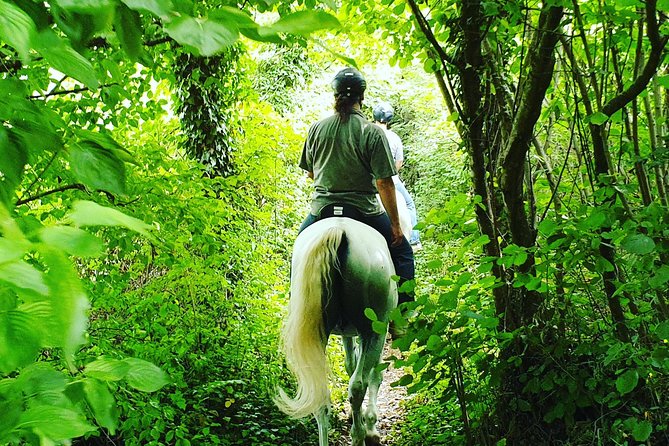 Horseback Riding In Bled - Getting on and off safely