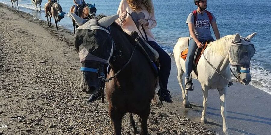 Horseback riding in Boavista for beginners - Key points at a glance