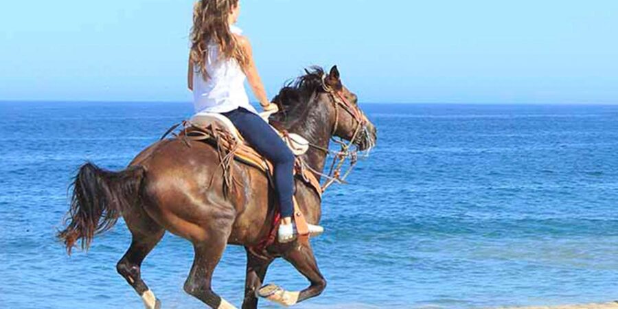 Horseback riding in Boavista for beginners - Riding beside the sea or across white dunes