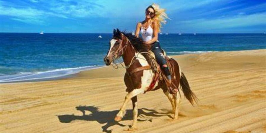 Horseback riding in Boavista for beginners - A steady walk for first-time riders