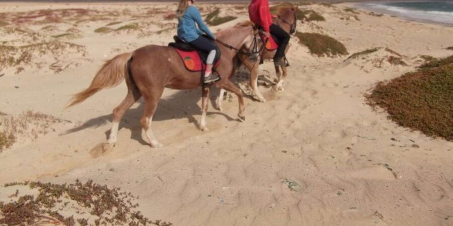 Horseback riding in Boavista for beginners - Is $81 per person good value?
