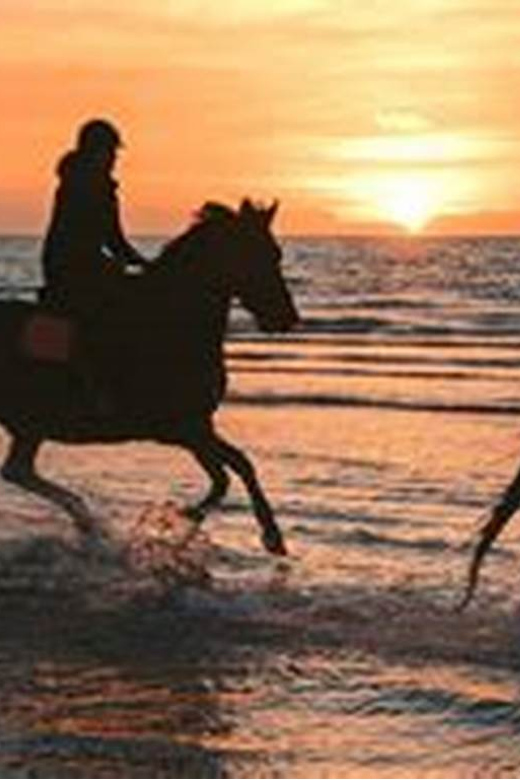 Horseback riding in Boavista for beginners - What happens before you mount