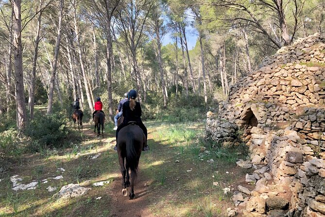 Horseback Riding in Cala Mitjana, Menorca, Spain - What the pace feels like for beginners