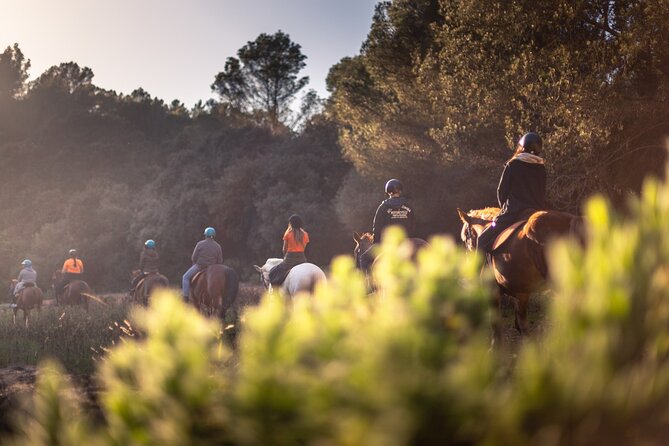 Horseback Riding in Cala Mitjana, Menorca, Spain - Is $114.84 a fair price?