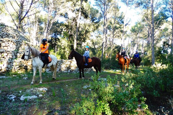 Horseback Riding in Cala Mitjana, Menorca, Spain - Who should book this Cala Mitjana ride?