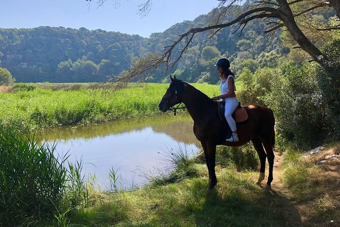 Horseback Riding in Cala Mitjana, Menorca, Spain - Booking details, weather, and cancellations