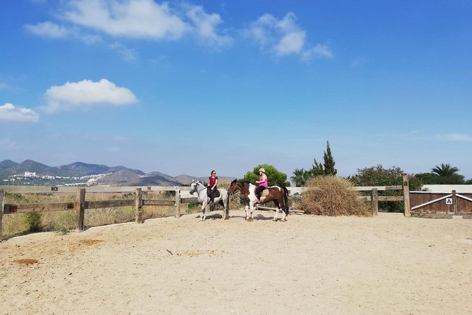 Horseback Riding in Cartagena (Spain) - A good choice for beginners and mixed groups