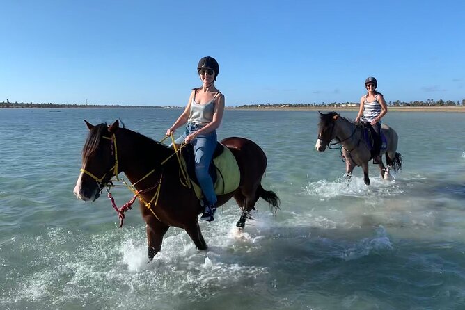 Horseback Riding in Djerba Lagoon - Key details before you saddle up