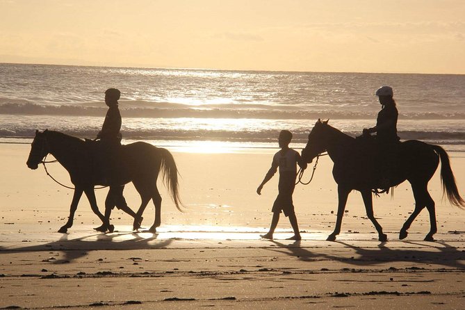 Horseback Riding in Djerba Lagoon - Why this Djerba ride feels different
