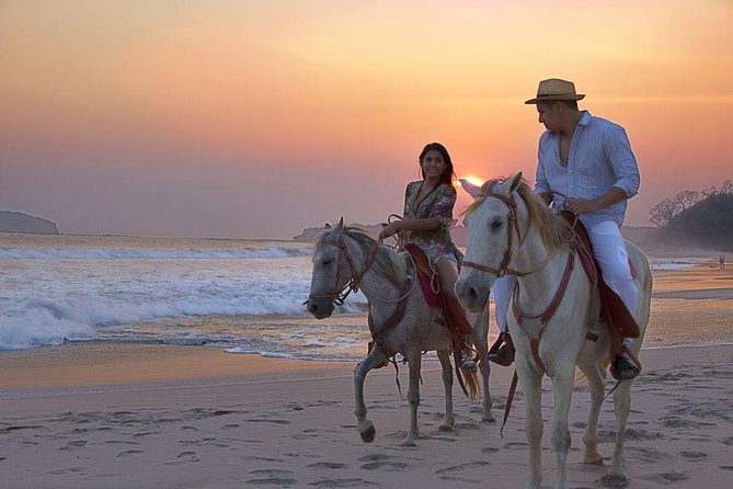 Horseback Riding in Djerba Lagoon - Along the prickly pear and aloe tracks