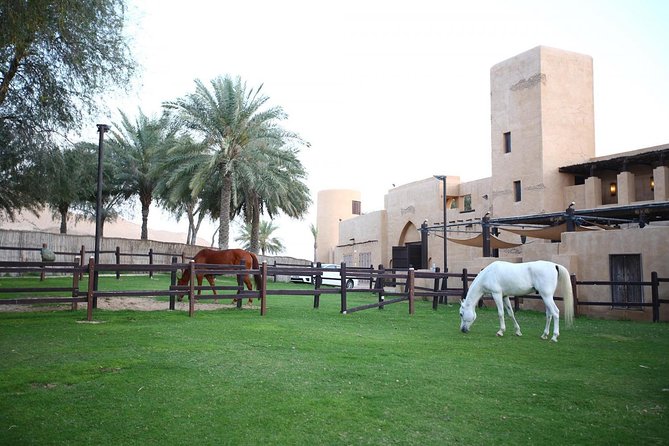 Horseback Riding in Dubai Desert with Transfers - Key Details Before You Book