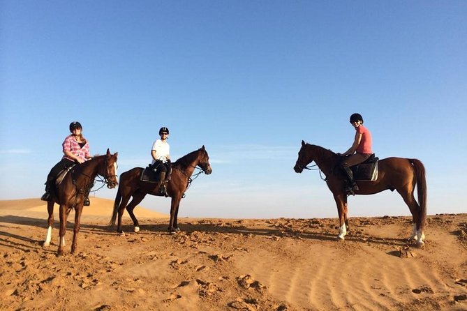 Horseback Riding in Dubai Desert with Transfers - Wildlife and the Small Details That Make the Ride Special