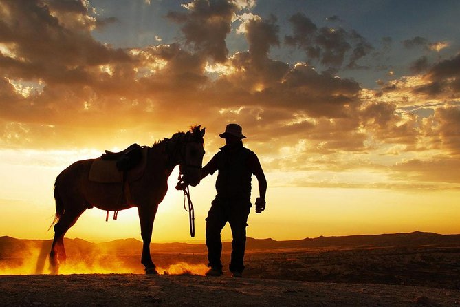 Horseback Riding in Dubai Desert with Transfers - Morning Calm or Sunset Color?