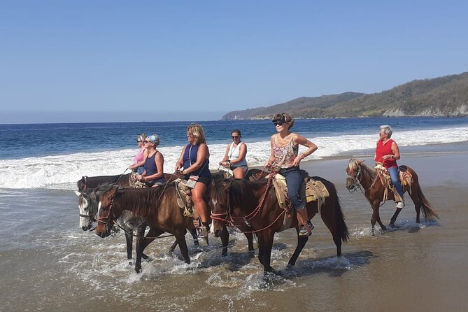 Horseback Riding in Ixtapa with Hotel Pickup - What the Ixtapa Route Feels Like