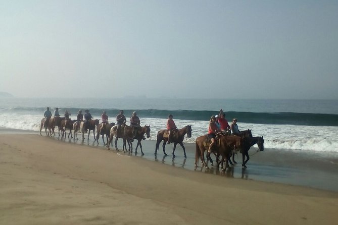 Horseback Riding in Ixtapa with Hotel Pickup - Group Size and Overall Atmosphere