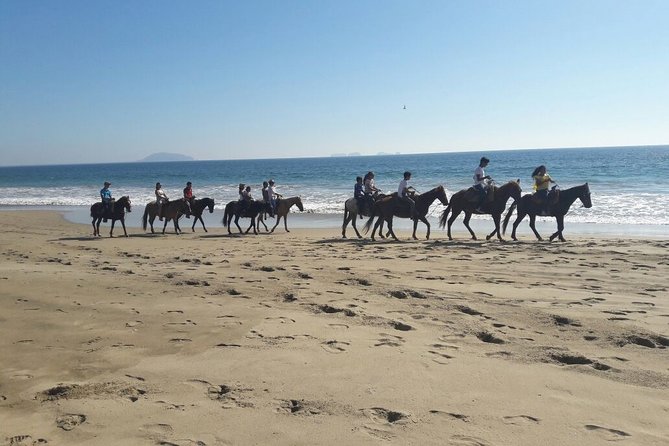 Horseback Riding in Ixtapa with Hotel Pickup - Is the Tour Worth Your Vacation Time?