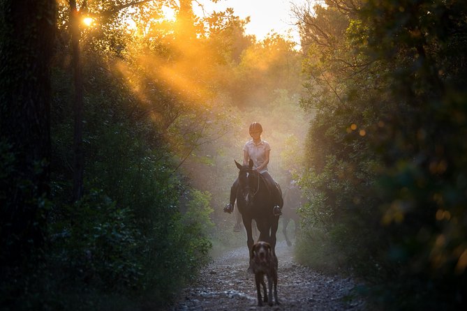 Horseback Riding in Konavle Region with Transport from Dubrovnik - Key points at a glance