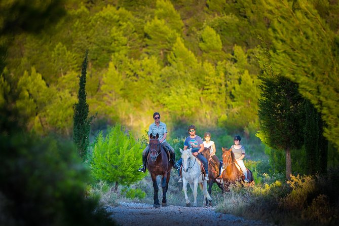 Horseback Riding in Konavle Region with Transport from Dubrovnik - Pickup from Dubrovnik and the trip to Kojan Koral