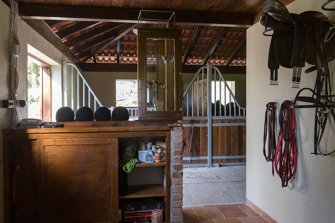 Horseback Riding in Konavle Region with Transport from Dubrovnik - Wine, sandwiches, and ranch time