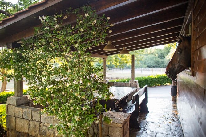 Horseback Riding in Konavle Region with Transport from Dubrovnik - What $168.95 buys you
