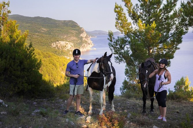 Horseback Riding in Konavle Region with Transport from Dubrovnik - Meeting the horses and learning the basics